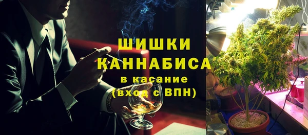 СК Семилуки