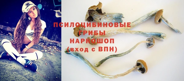 мяу мяу мука Алексин