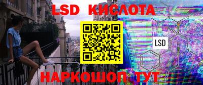 спайс Гай