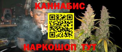 спайс Гай