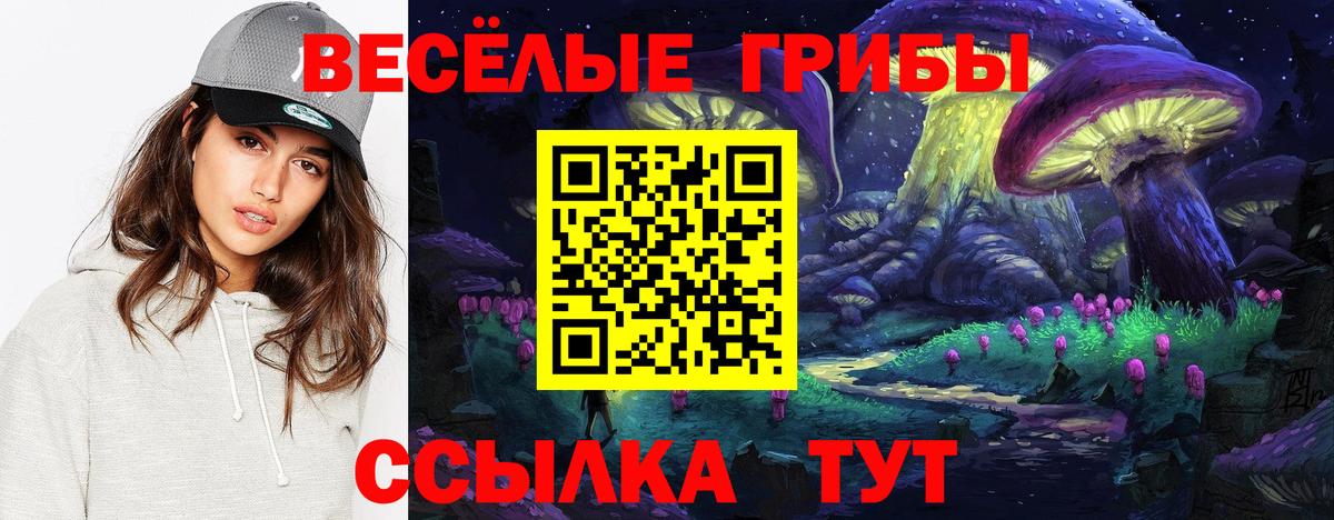 Галлюциногенные грибы мицелий  Вход с VPN  Курчалой  Псилоцибиновые грибы Psilocybe 
